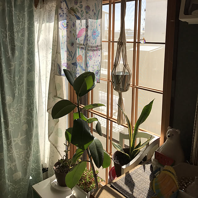 maruriaさんの実例写真