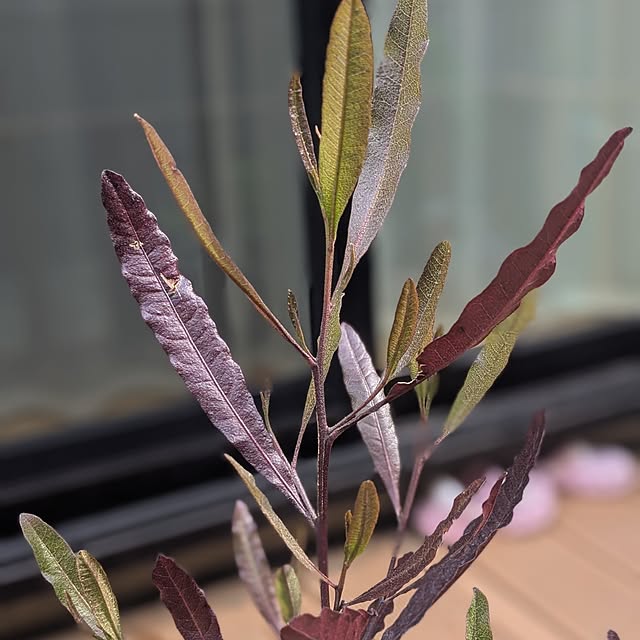 reeさんの部屋