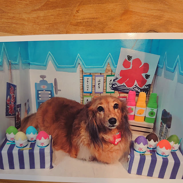 rikachakoさんの実例写真