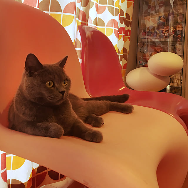 ikettenさんの実例写真