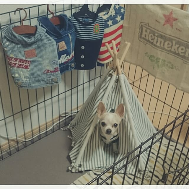 and_LaLaLa...さんの実例写真