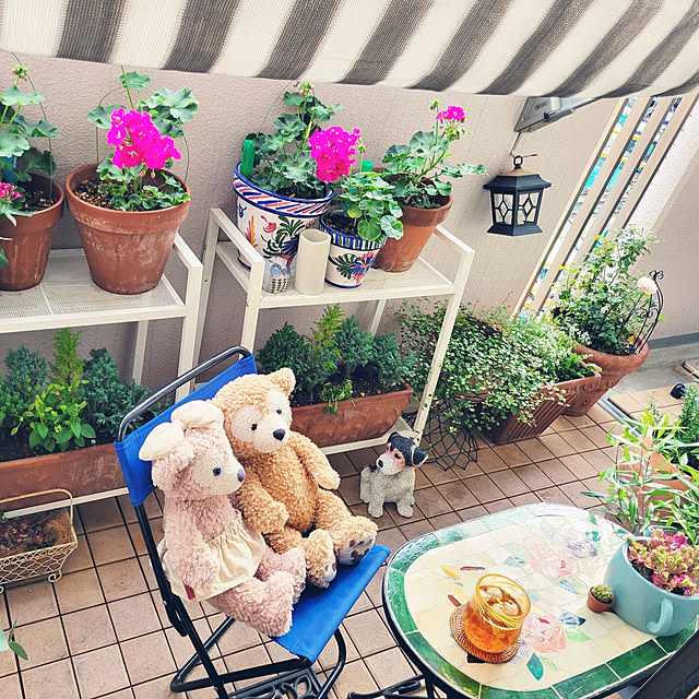 berryberryさんの実例写真