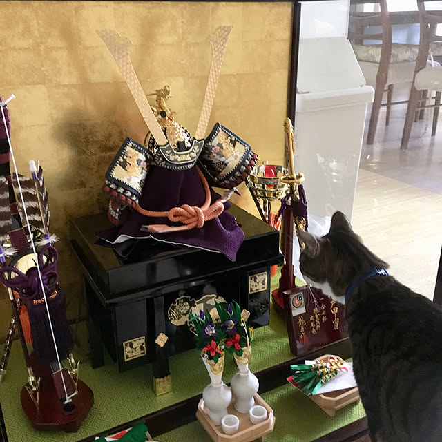ichi.さんの実例写真