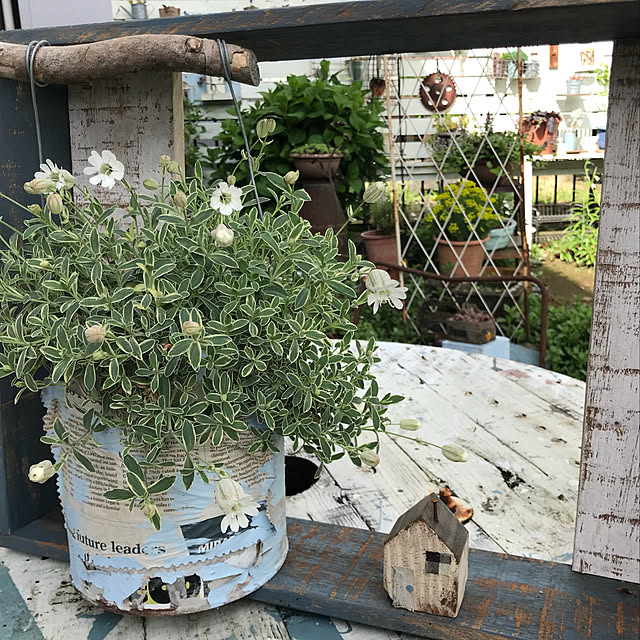 kokko3さんの実例写真