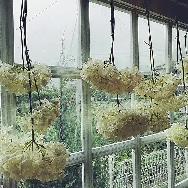 mayuさんの実例写真