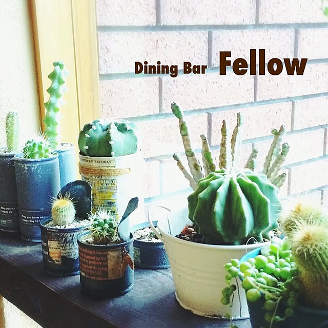Fellowさんの実例写真