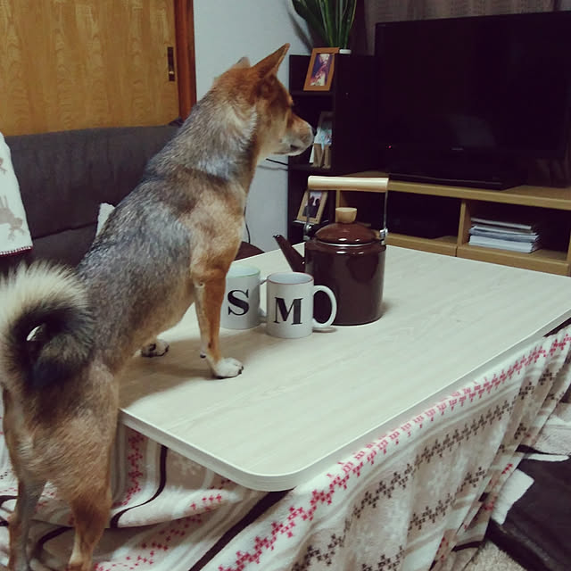 mameさんの実例写真