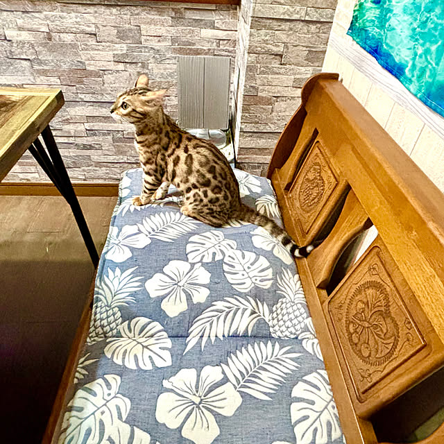 tututu0204さんの部屋
