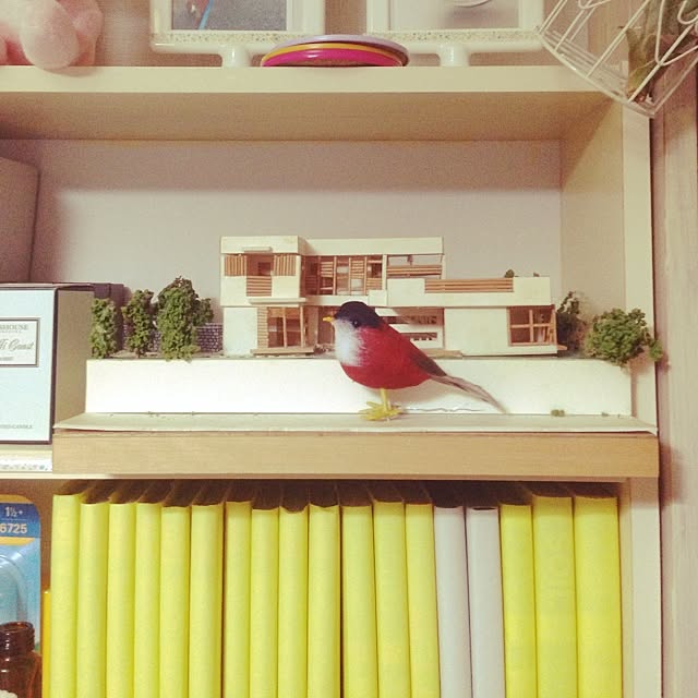hiyokoさんの実例写真