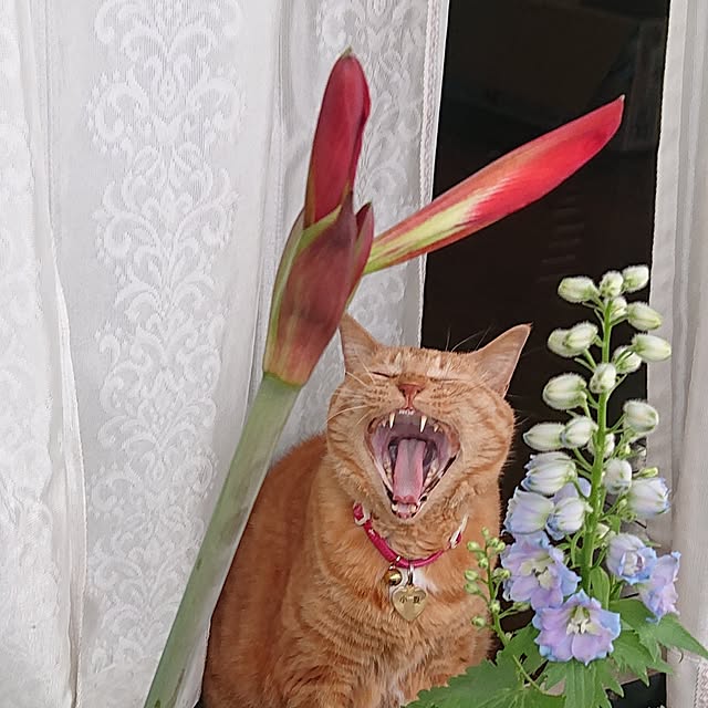 NOAHさんの部屋