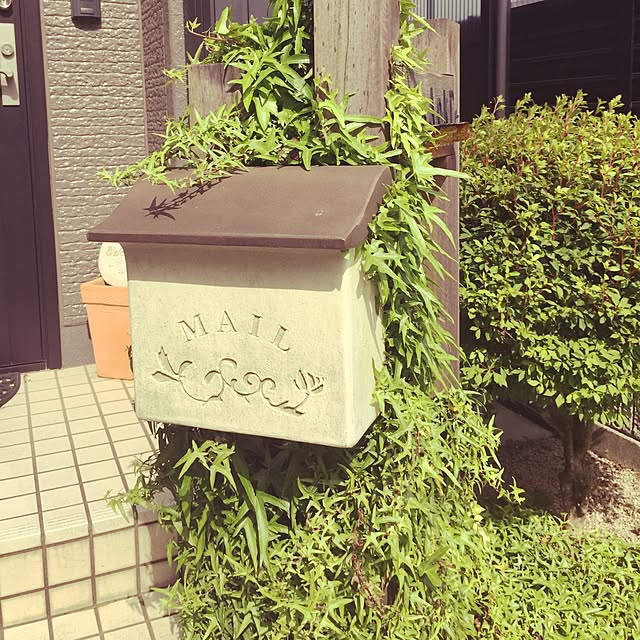 実例写真