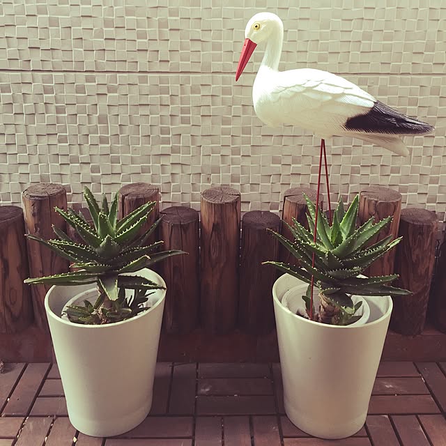 miniさんの実例写真
