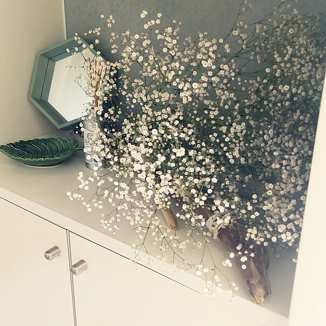 CHONGTAROooさんの実例写真