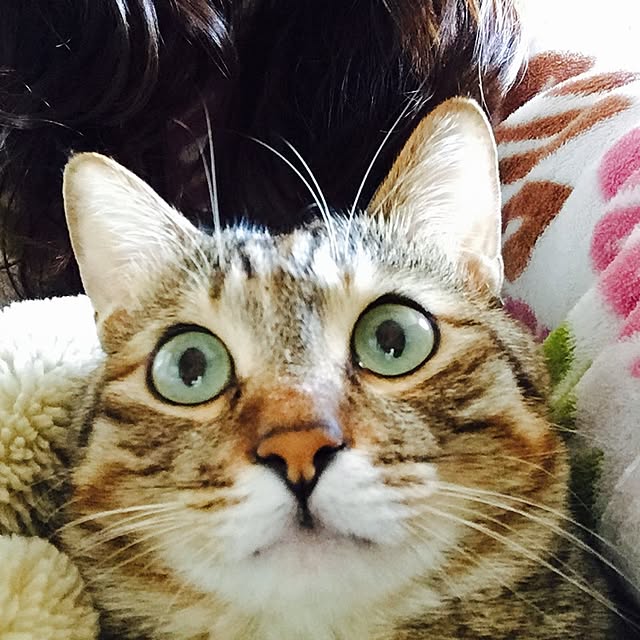 MASAさんの実例写真