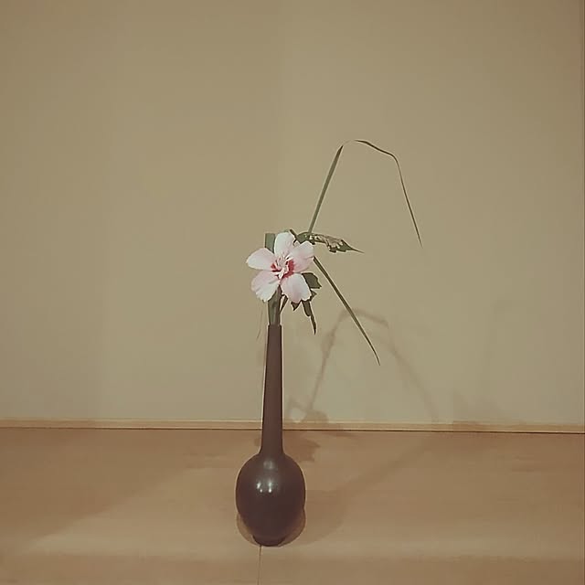 annaさんの実例写真