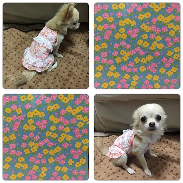 candy_Bonbonさんの実例写真