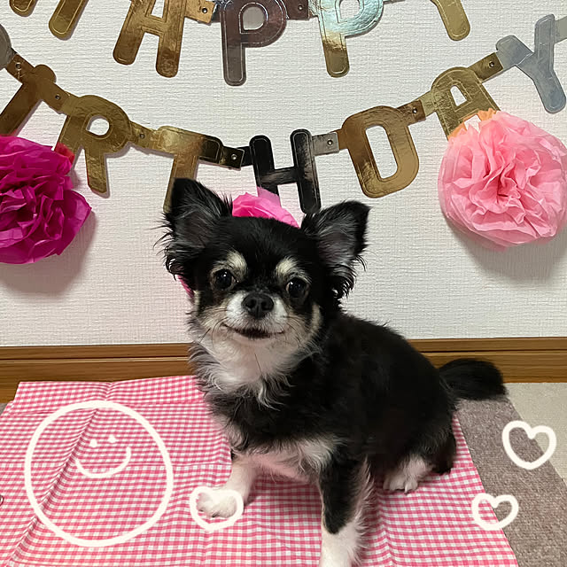 koroさんの部屋