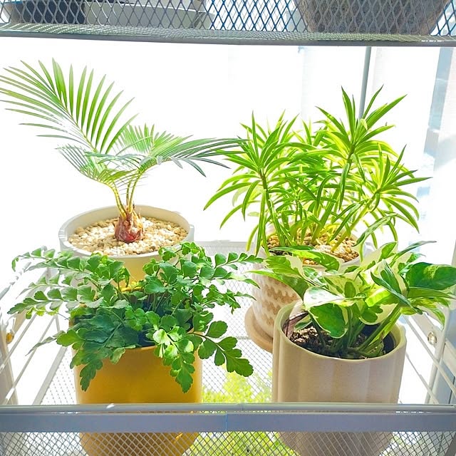 .endさんの部屋