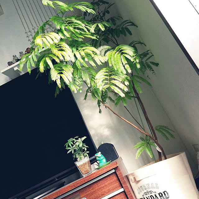 mimi828さんの実例写真