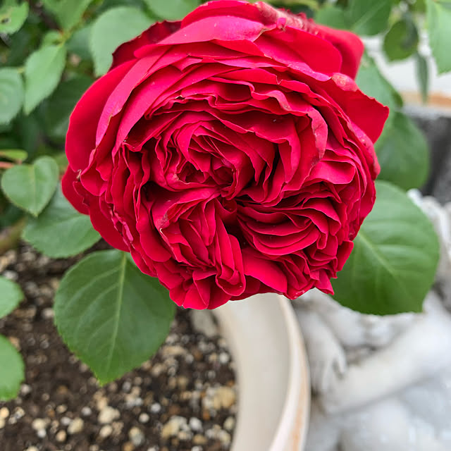 AYUKOさんの実例写真