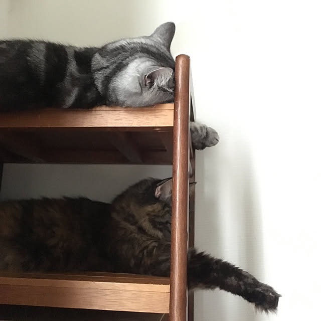 mikomaruさんの実例写真
