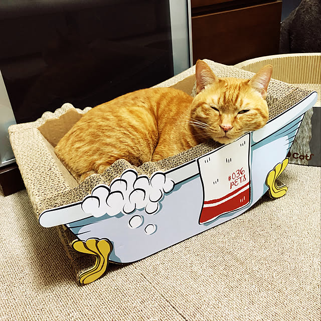 KenGerraさんの実例写真