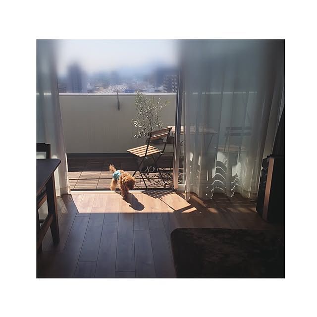 chihooo.sさんの実例写真
