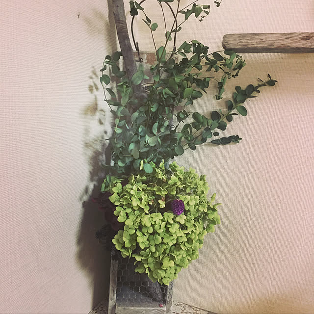 yomogichanさんの実例写真