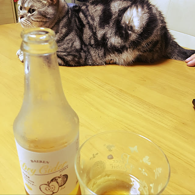 mame-minさんの実例写真