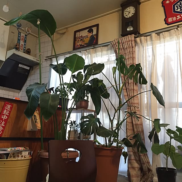 1623さんの実例写真