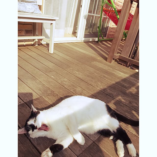 mileyさんの実例写真