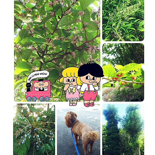 cherrycherryさんの実例写真