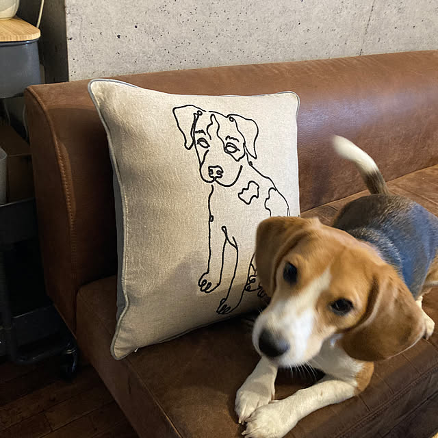 onokenkoさんの部屋