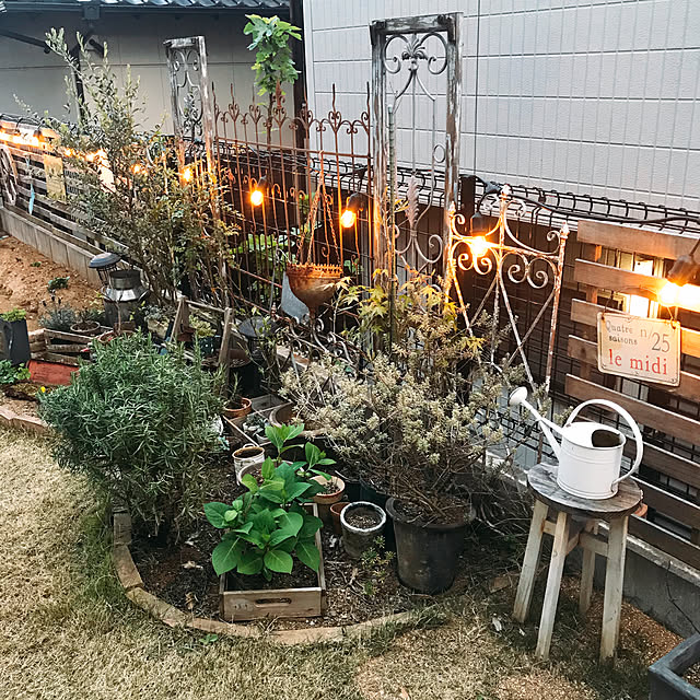 nobupacaさんの実例写真