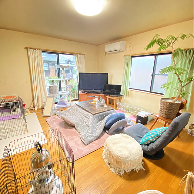 prelumoさんの実例写真