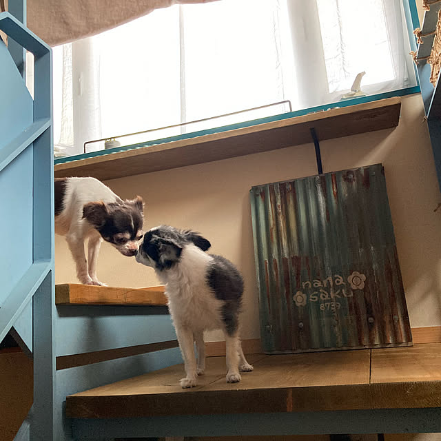 mkk8739hanasakuさんの実例写真