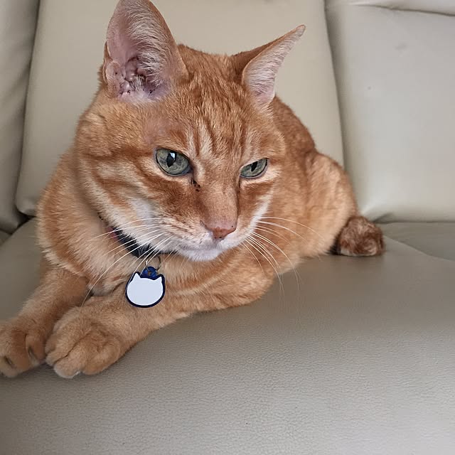 JINさんの実例写真