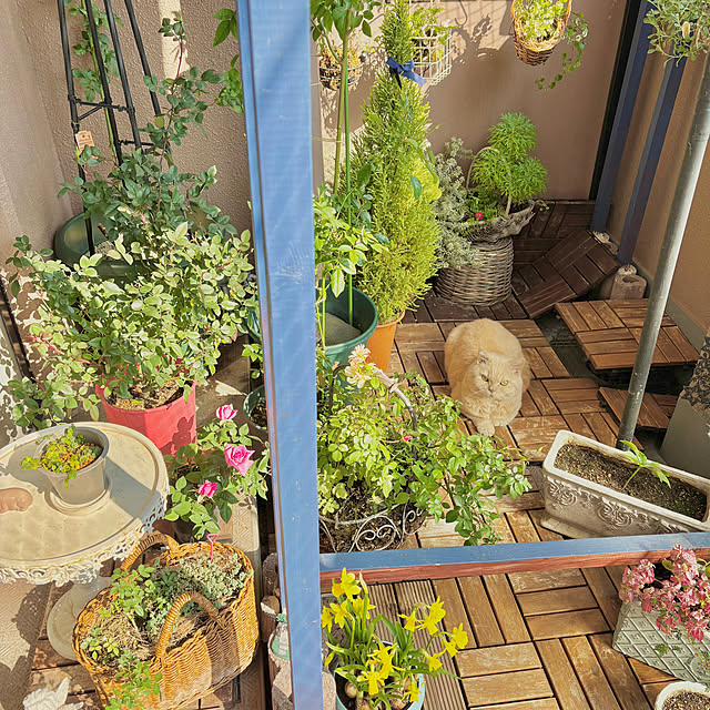 naokoさんの部屋