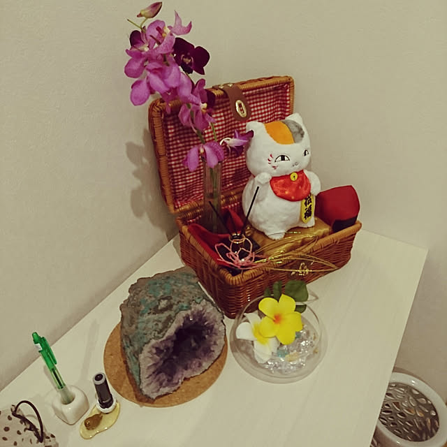 FarblosFlugerさんの実例写真