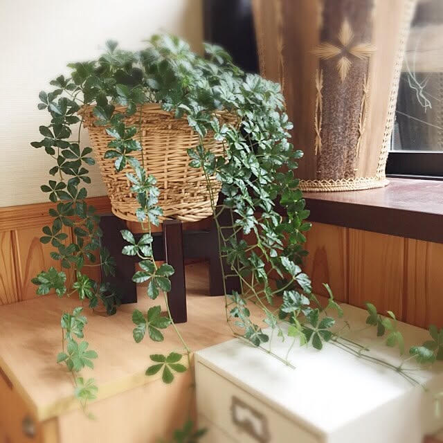 hiroさんの実例写真