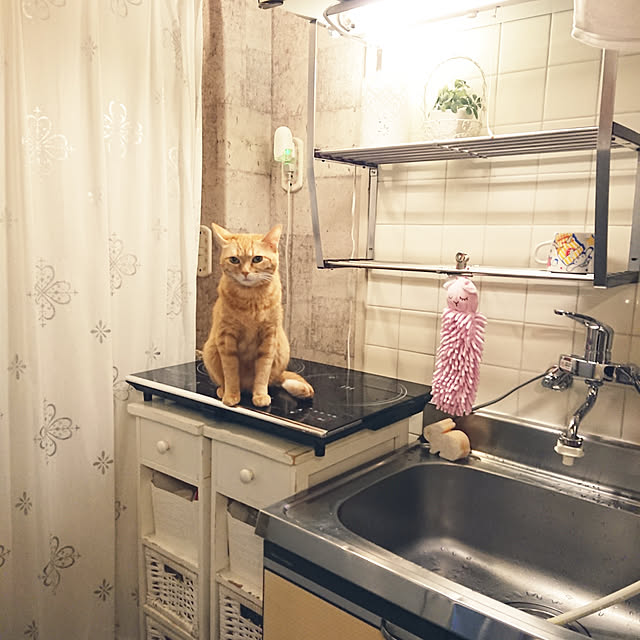 asuminさんの実例写真