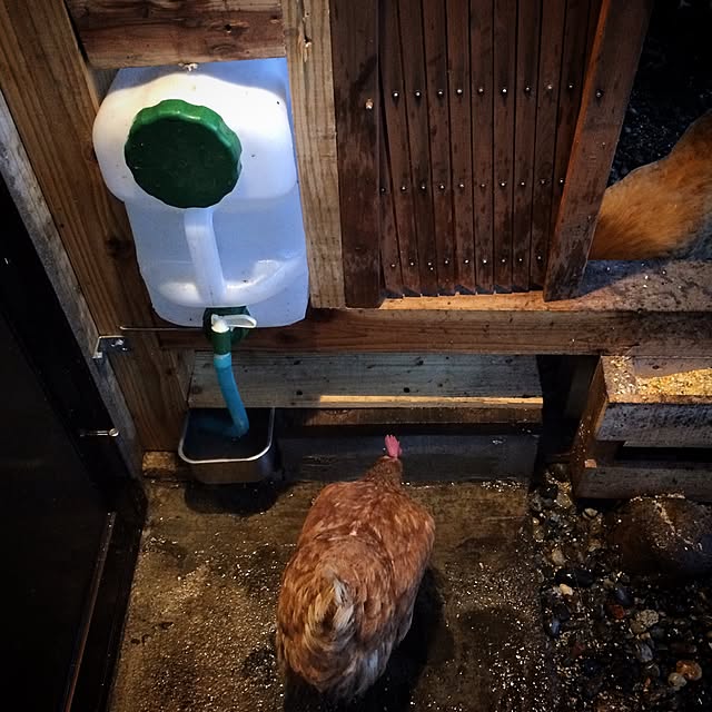 fukumomo3_photoさんの実例写真