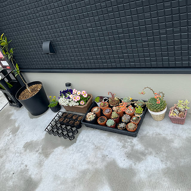 N.Renさんの実例写真