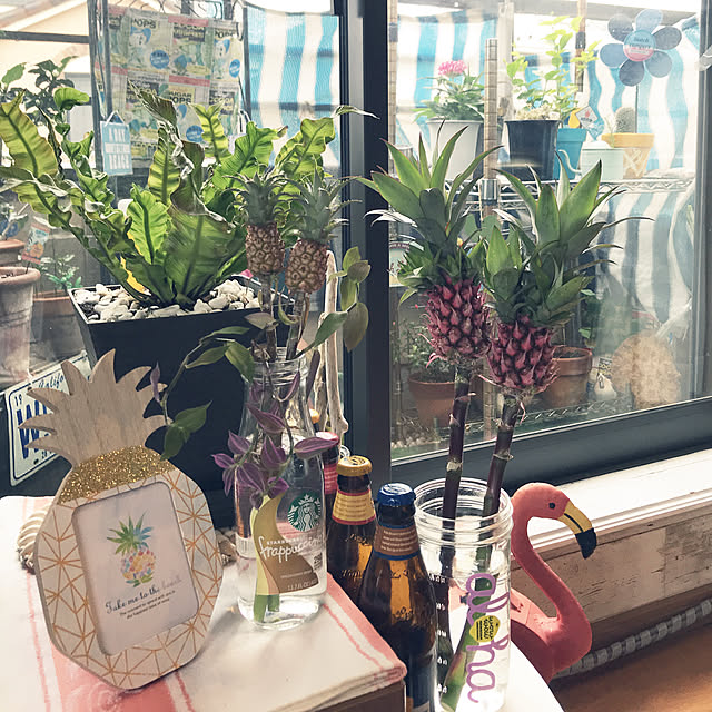 ariceさんの実例写真