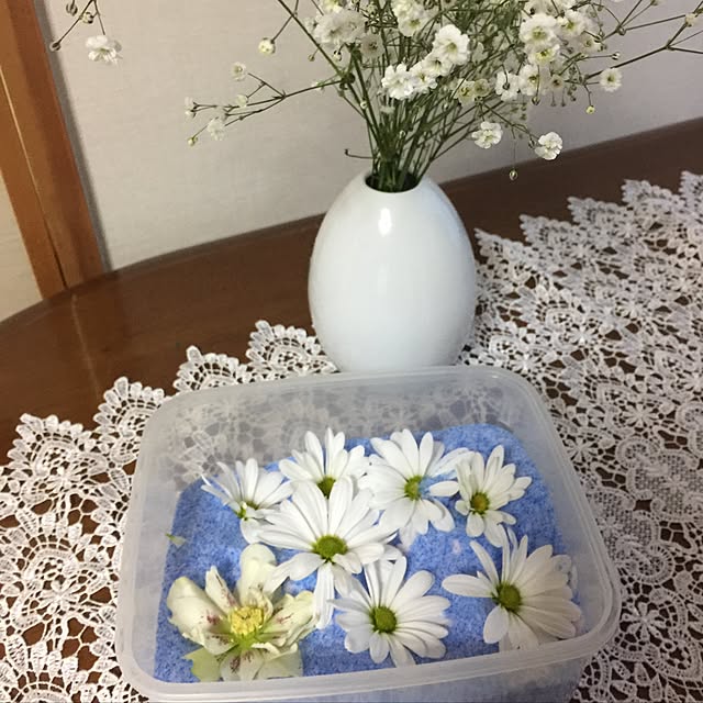 momonaさんの実例写真