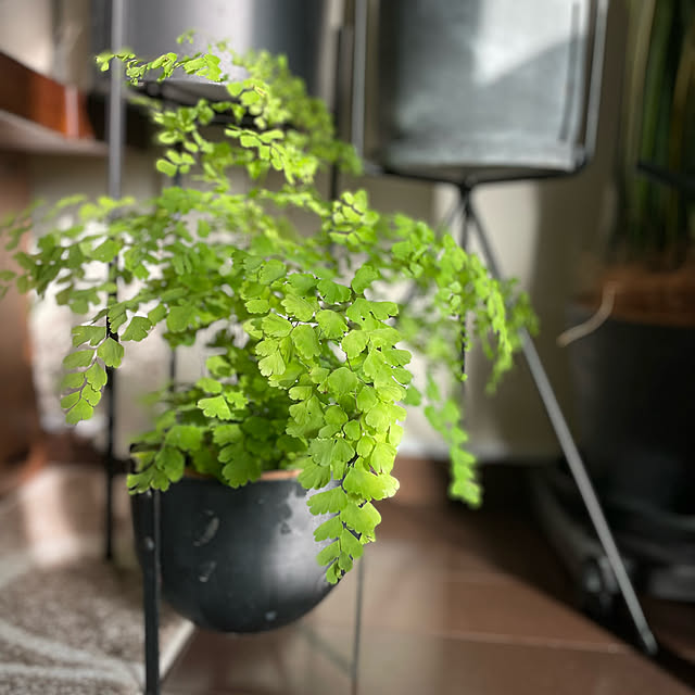 rinrinさんの部屋