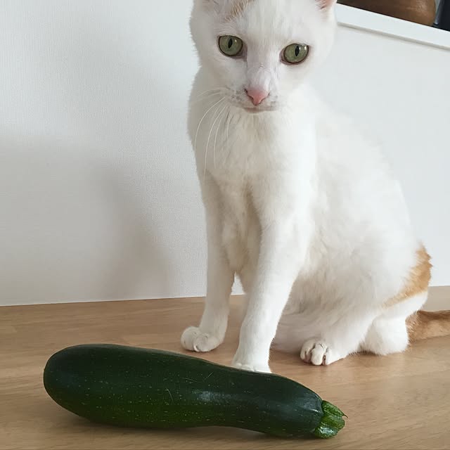 Minakoさんの実例写真