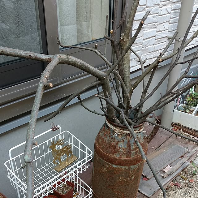 mamahiroさんの実例写真