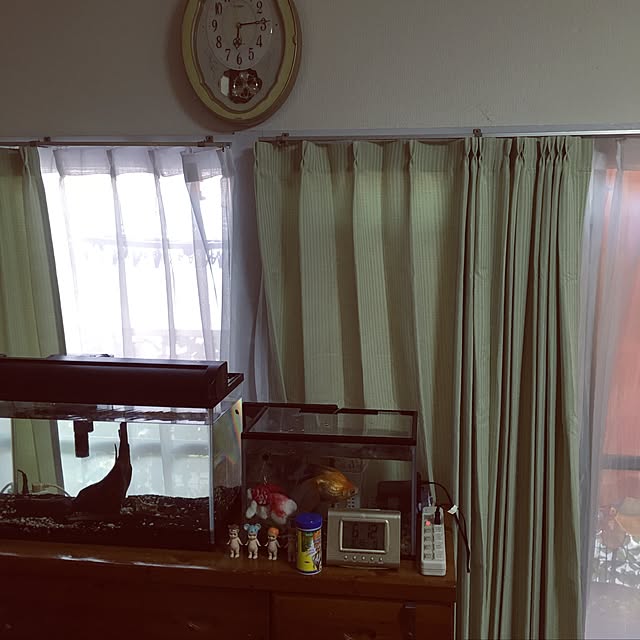 Tomokoさんの実例写真