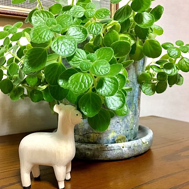 Midoさんの実例写真